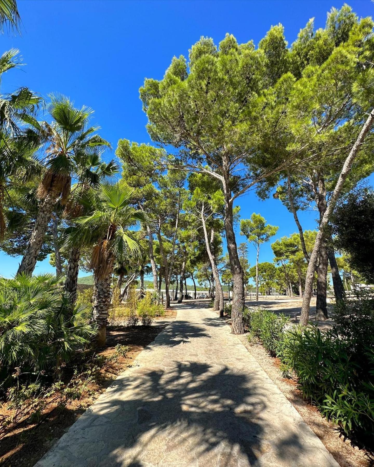 Villa Doris, Amadria Park 希贝尼克 外观 照片