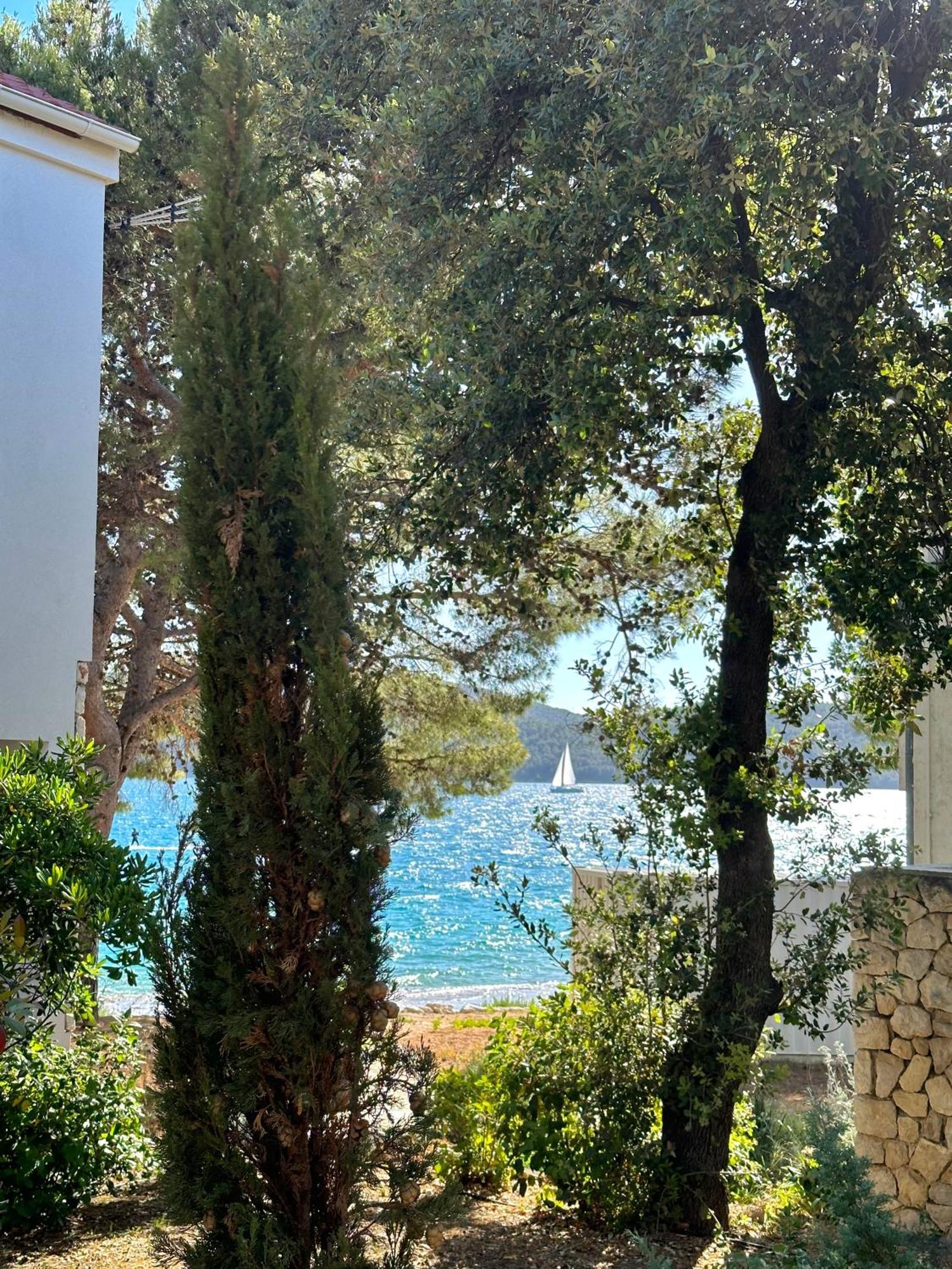 Villa Doris, Amadria Park 希贝尼克 外观 照片